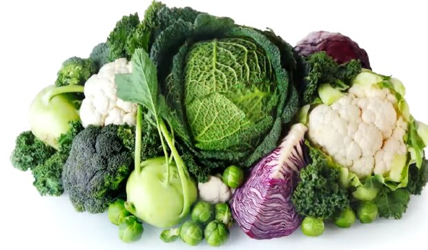Овощи. Фото: YouTube