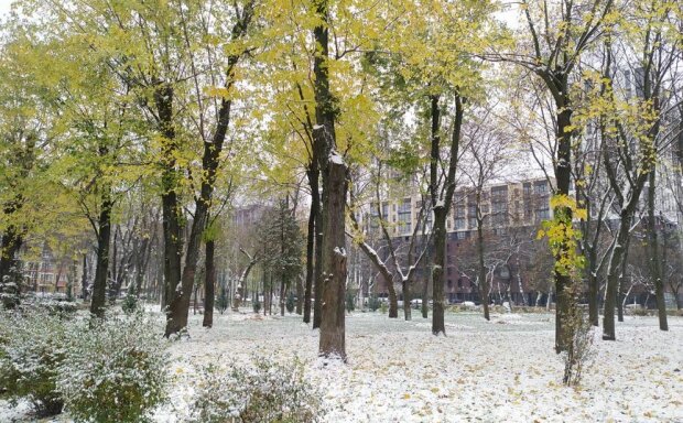 Киев. Снег в парке "Веселка". Фото: Facebook, Tanya Tymoshenko