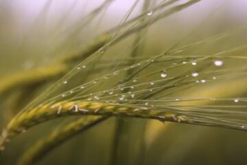 Погода на 15 июня 2020 года