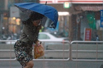 Штормовое предупреждение