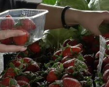 Перша полуниця на ринку, фото: youtube.com