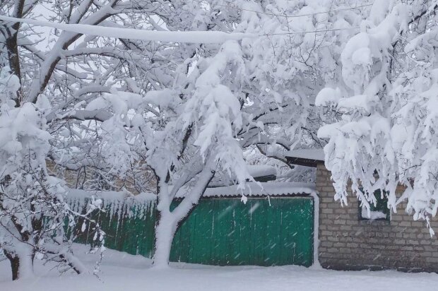 Украину засыплет снегом. Фото: Стена