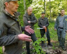 В Держекоінспекції розповіли, хто вирубує українські ліси