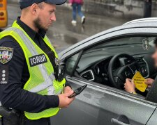 В МВД предупредили всех водителей о проверке документов - от прав до техосмотра