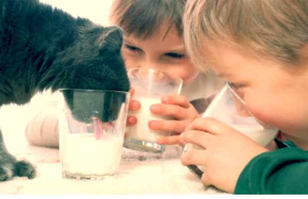 Молоко. Фото: youtube.com