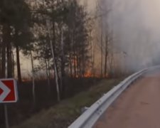 Пожары в Житомирской области. Фото: ТСН