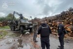 незаконна вирубка дерев 