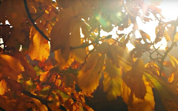 Погода в Украине. Фото: скриншот YouTube-видео.