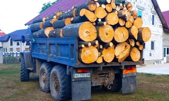 Дрова. Фото: YouTube