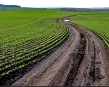 Как здесь не бояться: немецкие фермеры уже потирают руки на украинскую землю