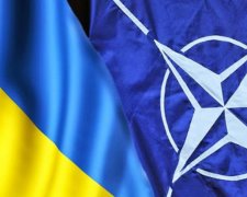 «Они заслуживают мир»: в НАТО сделали громкое заявление по Украине, это уничтожит план Путина