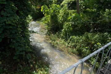 В Харькове оборвался мост с людьми. Первое видео