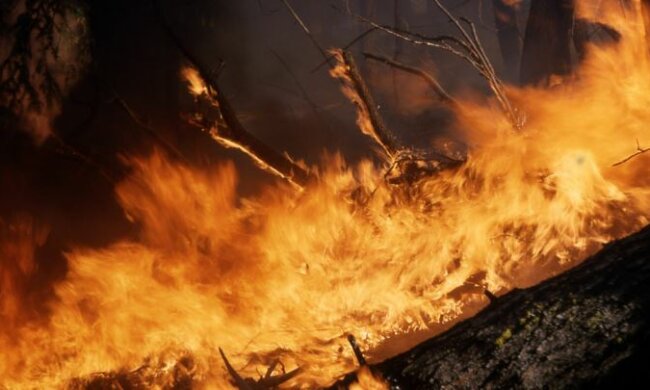 Огонь. Фото: скриншот YouTube.