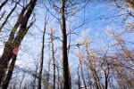 Погода в Украине. Фото: скриншот Youtube-видео