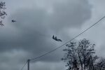 Самолеты. Фото: скриншот YouTube-видео