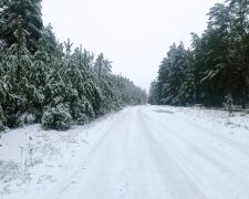 Зима. Фото: Youtube