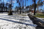 Погода. Фото: Стена
