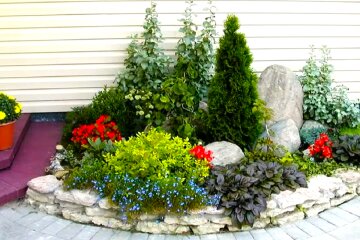 Клумба. Фото: YouTube