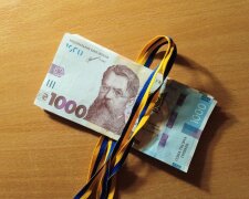 Деньги, гривны, государственная помощь. Фото: Telegram