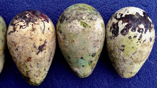Исследователям удалось разгадать тайну скалы, которая каждые 30 лет рождает "шлифованные яйца"