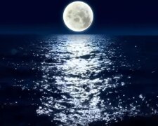 Суровая луна в январе-2022: что нужно делать и как пережить Волчье Полнолуние