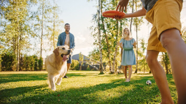 Веселі ігри із собакою: розвага для всієї сім'ї