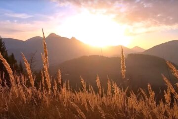 Природа. Фото: скріншот YouTube-відео