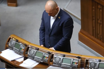 Илья Кива в Верховной Раде