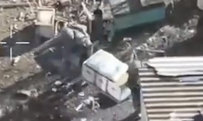 Такого ви ще не бачили: ЗСУ атакували орків вуликами з бджолами - провели кілька скидів для знищення ворога - відео