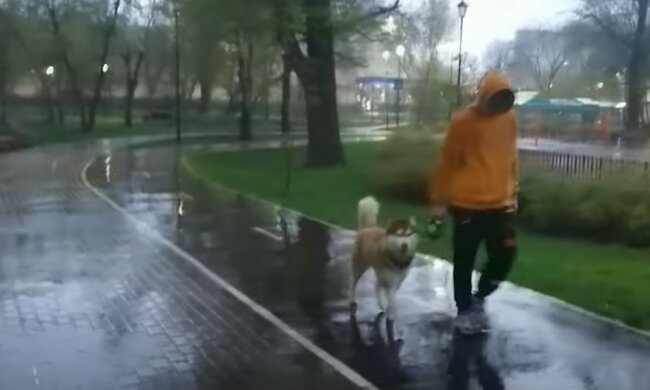 Погода на выходные. Фoто: скриншот Youtube