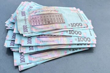 Гроші. Фото: Нацполіція України