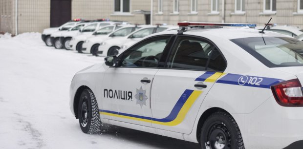 Автомобили полиции. Фото:  zhitomir.today