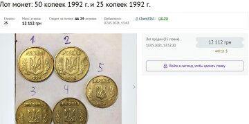 Монеты Украины. Фото: violity.com