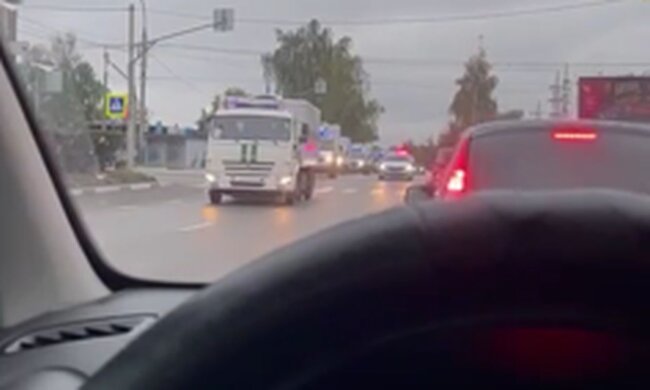 Колонна автозаков. Фото: скриншот Telegram-видео