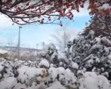 Украину накроет мокрый снег. Фото: скриншот YouTube