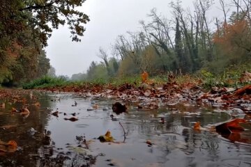 Погода в Україні. Фото: скріншот Youtube-відео
