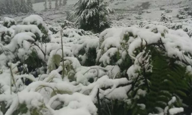 Погода в Украине. Фото: скриншот Youtube