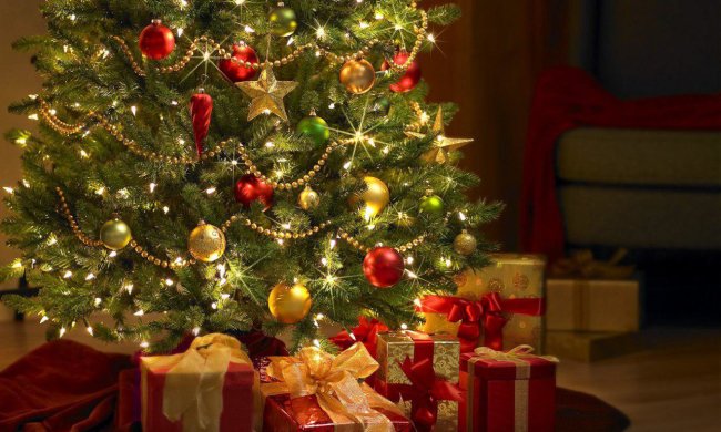 Штрафы за незаконную вырубку ёлок, как всегда, высоки