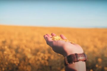 Природа. Фото: YouTube, скрін