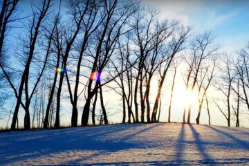 Природа. Фото: YouTube, скрин