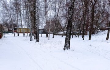 Снег, зима. Фото: скриншот Youtube-видео