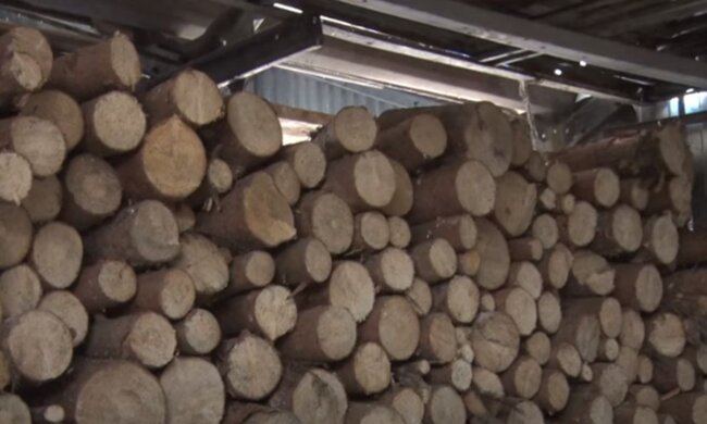 Дрова. Фото: скриншот YouTube-видео