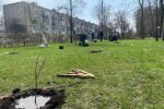 Держекоінспекція висадила близько 500 саджанців Дубів Шевченка