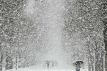 В Киев привезли снег из Карпат, фото - 24 телеканал