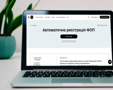 ФОП, документи, оновлення. Фото: ілюстративне