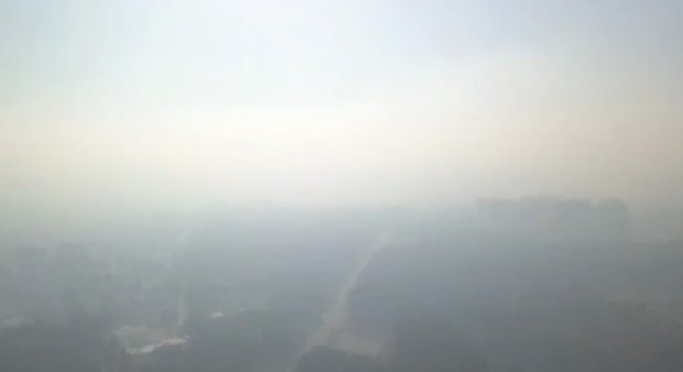 Дым от пожара в Чернобыльском лесу. Фото: скриншот Telegram