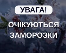 До -5 мороза: в Украину пришел арктический холод - прогноз погоды на неделю до 24 апреля.
