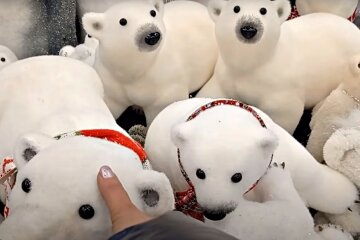 Іграшки. Фото: скріншот Youtube-відео