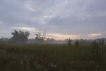 Природа. Фото: скриншот YouTube-видео