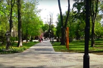 Какая опасность подстерегает в парках. Фото: скриншот YouTube